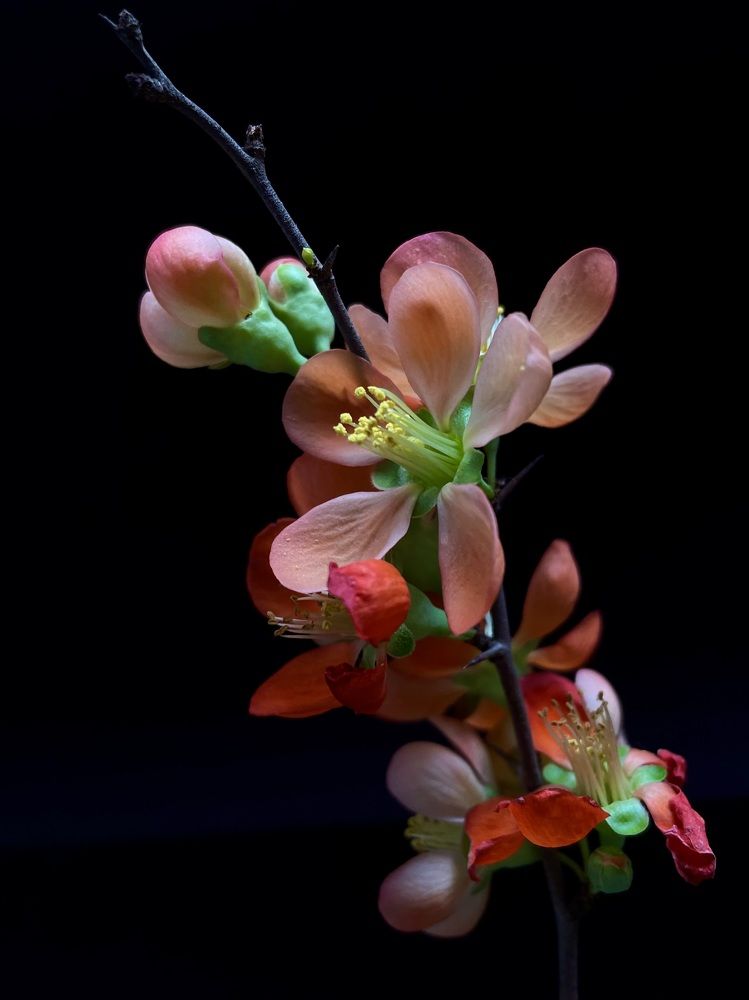 Фотография автора Рамзия Хисамутдинова