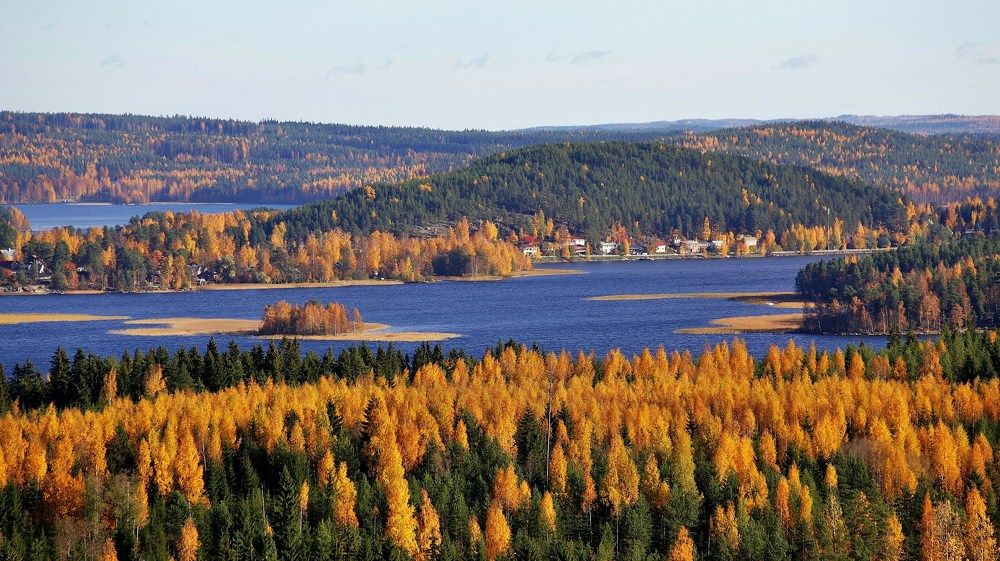 Photograph by Николай Раппу