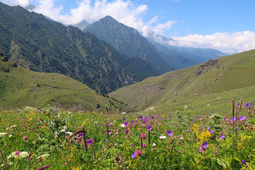 Photograph by Ольга Стоун