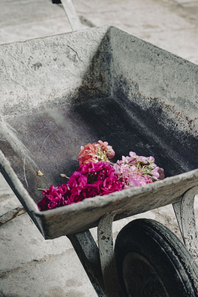 Photograph by Anna Gancheva