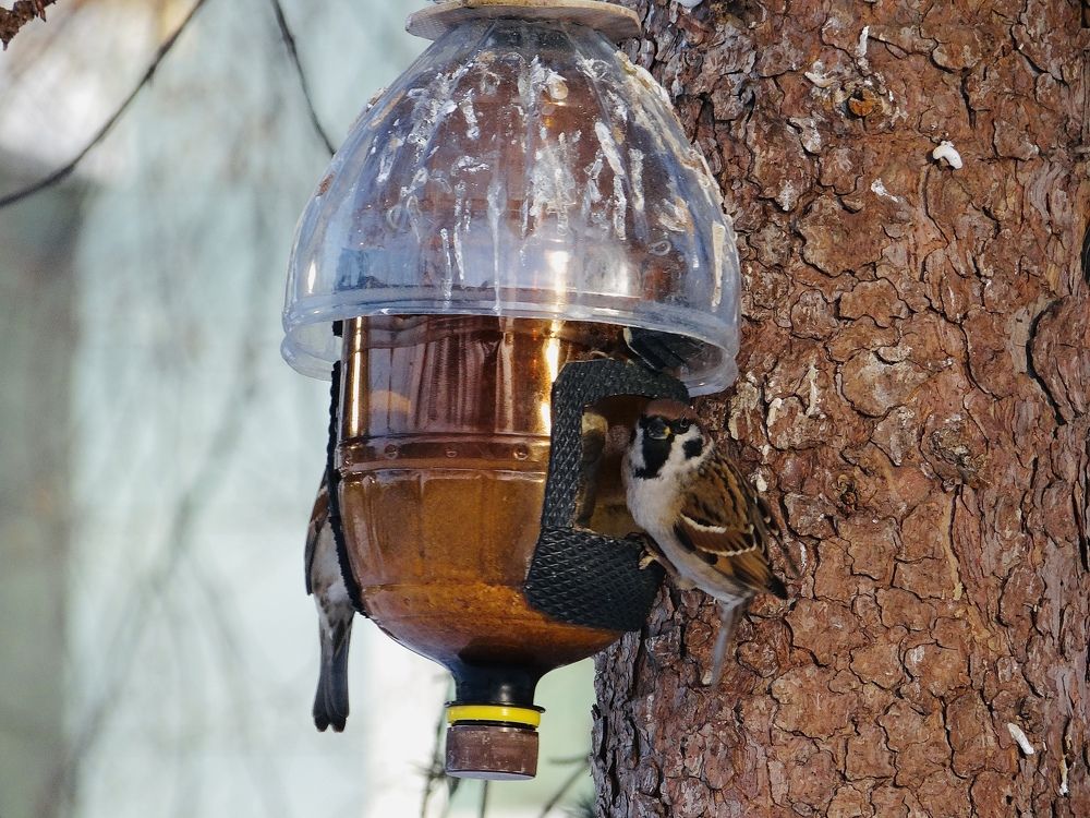 Photograph by Данила Мельников