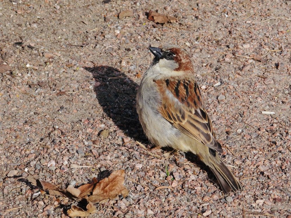 Photograph by Данила Мельников