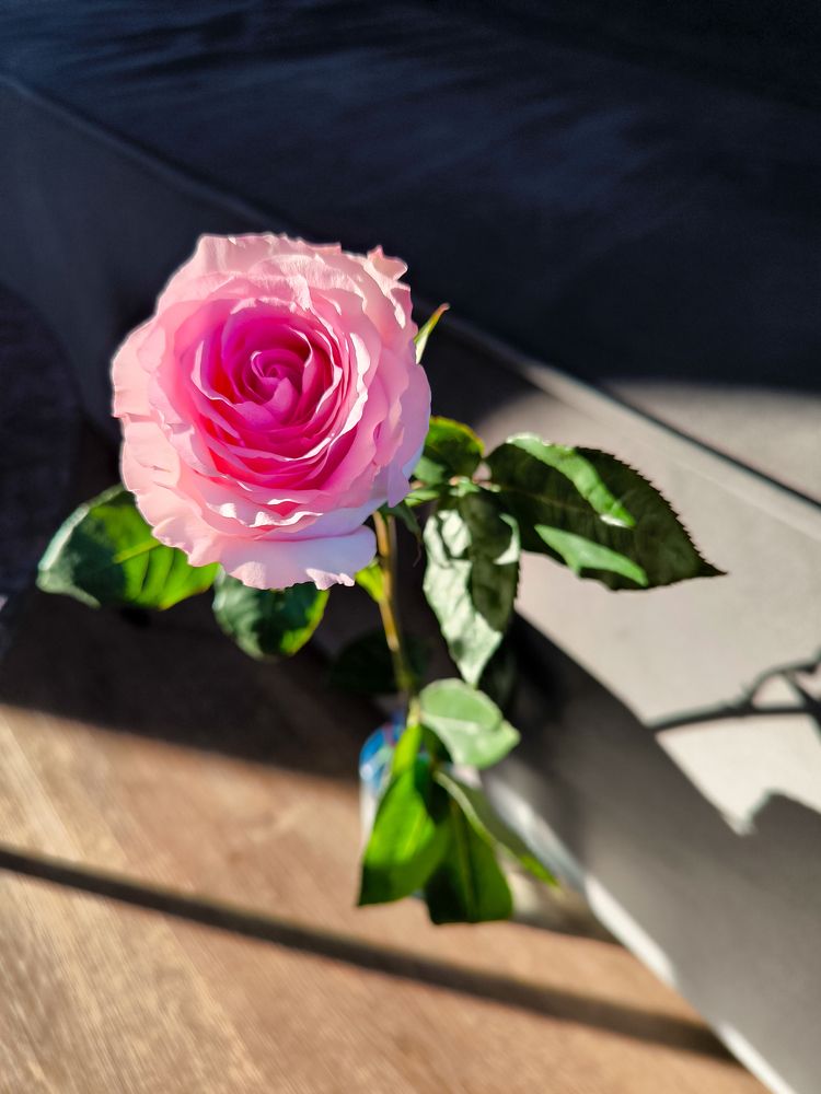 Photograph by Шейко Анна