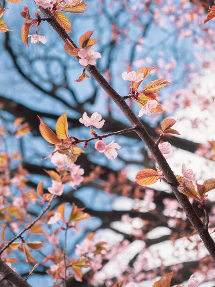 Photograph by Шейко Анна