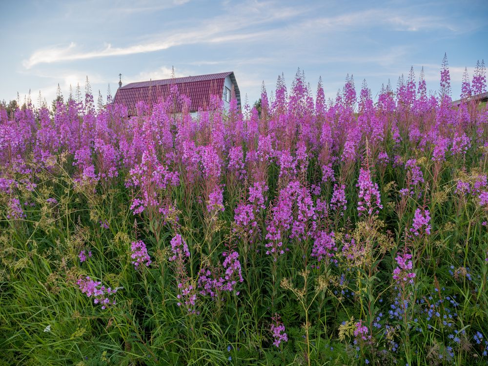 Photograph by Шейко Анна