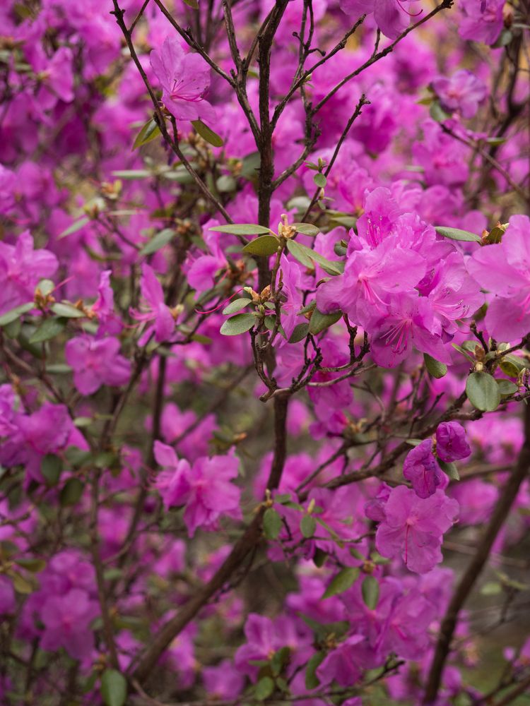 Photograph by Шейко Анна