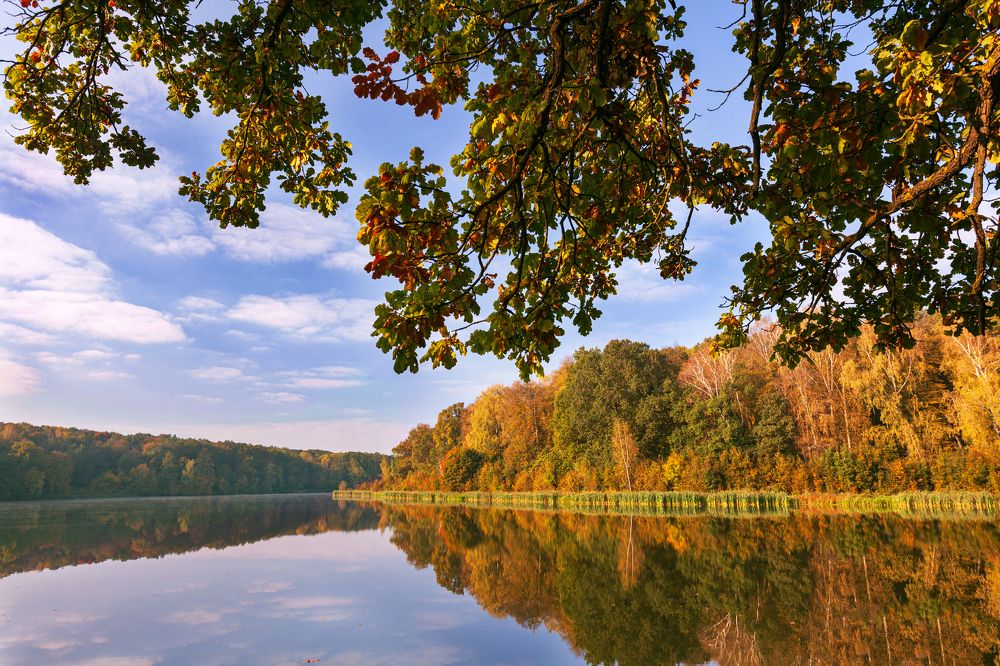 Photograph by Артем Парамонов