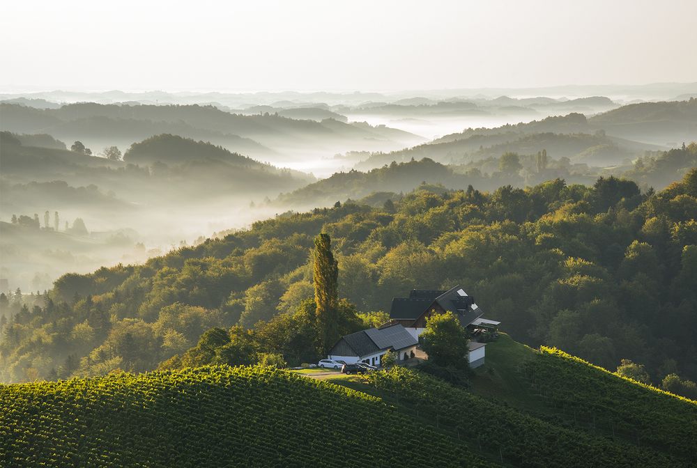 Photograph by Renee Johansson