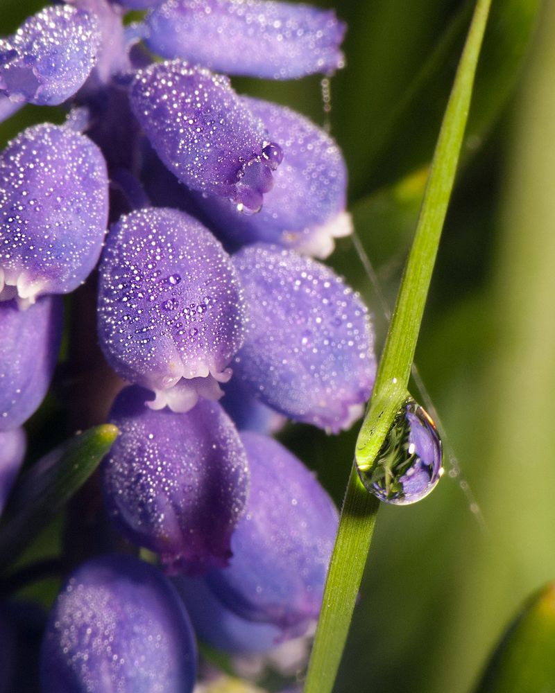 Фотография автора Борис Журавлёв