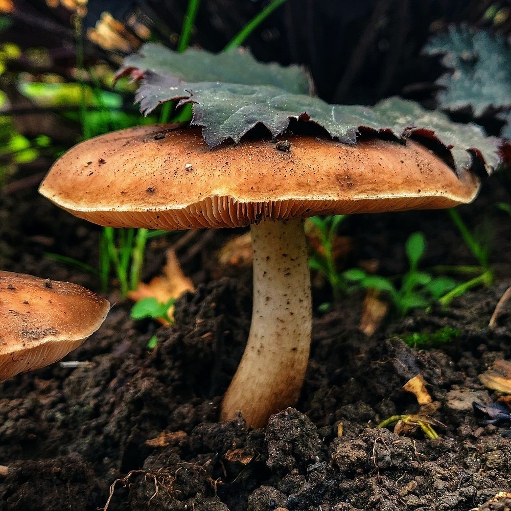 Фотография автора Татьяна Сякина