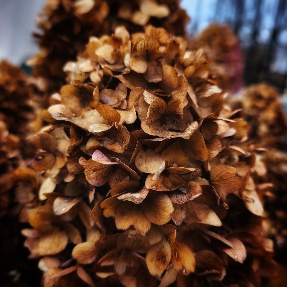 Фотография автора Татьяна Сякина