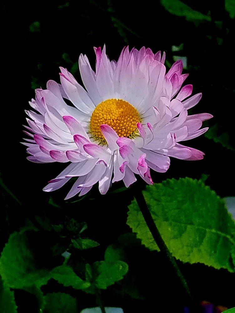 Photograph by Татьяна Солтан