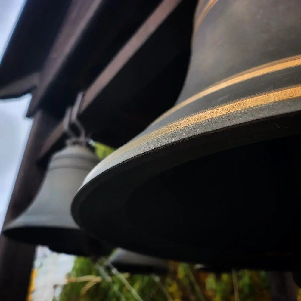 Фотография автора Татьяна Сякина