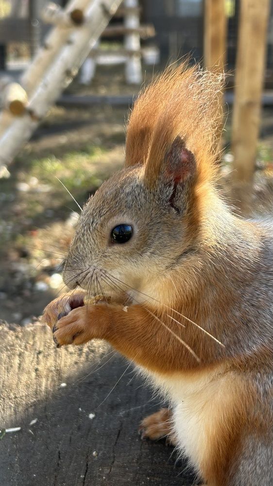 Photograph by Анна