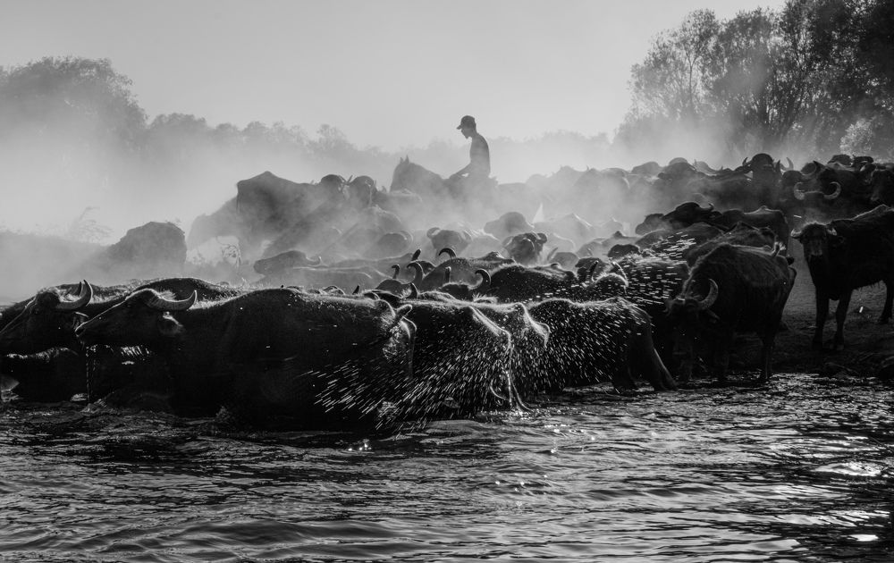 Photograph by Güzin Gülfidan