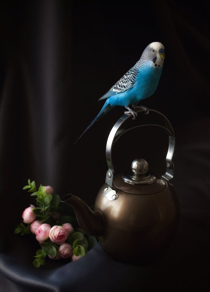 Фотография автора Tatiana Gongharova