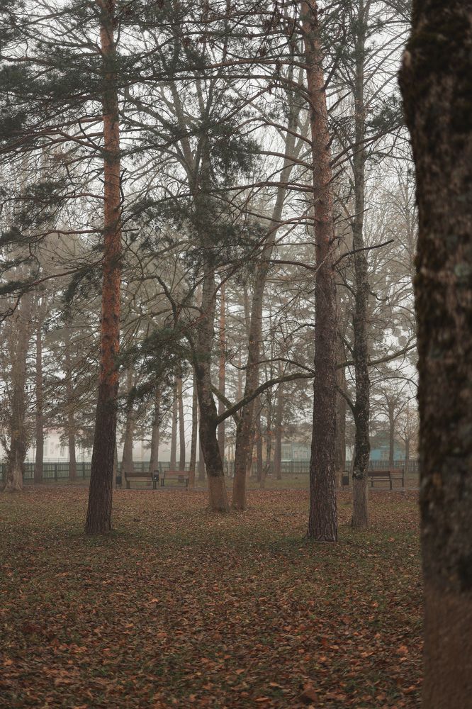 Photograph by Екатерина Сычева