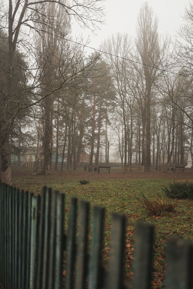 Photograph by Екатерина Сычева