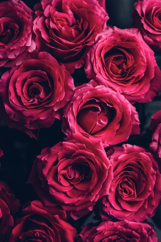 Photograph by Diana Sklarova