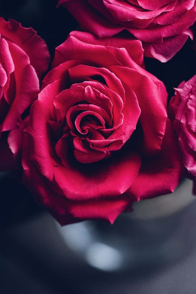 Photograph by Diana Sklarova