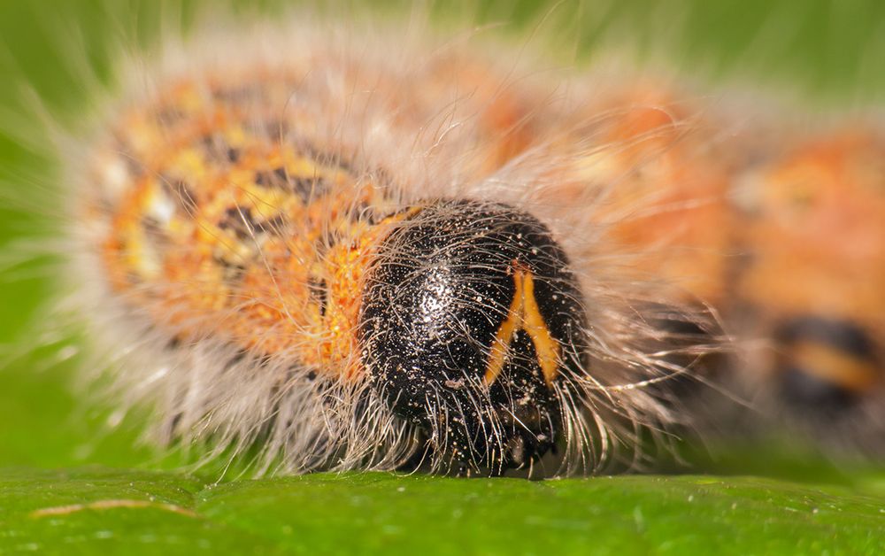 Фотография автора Борис Журавлёв