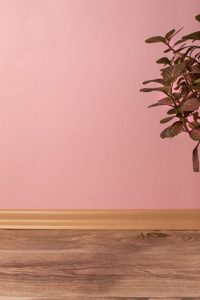 Photograph by Rajka Milojić