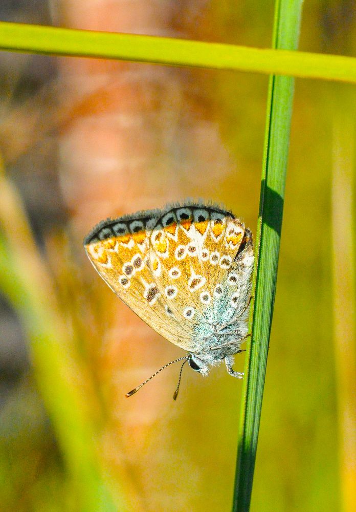 Photograph by Олеся zme