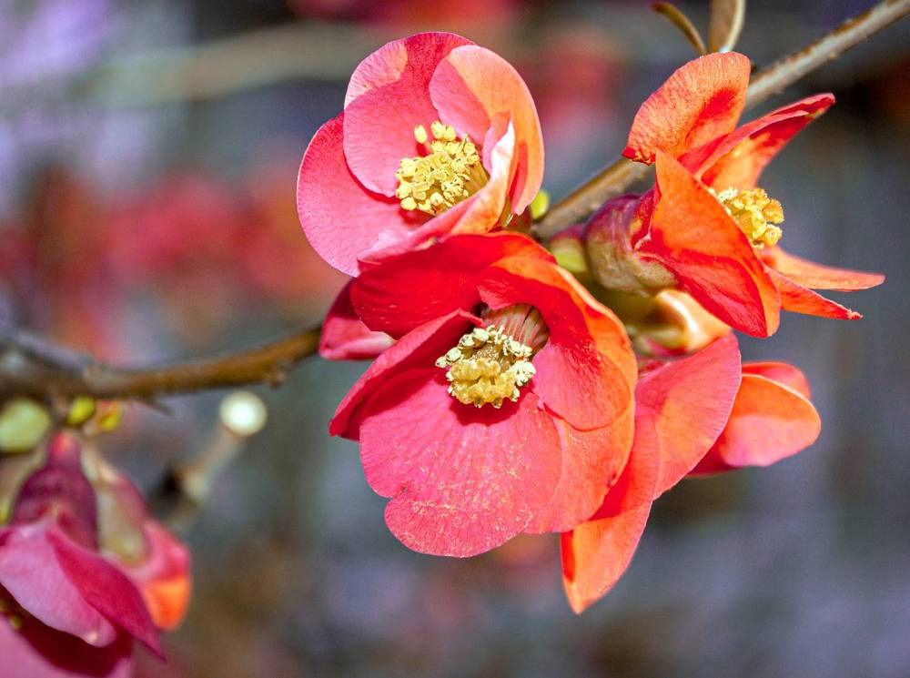 Photograph by Сергей Христинич