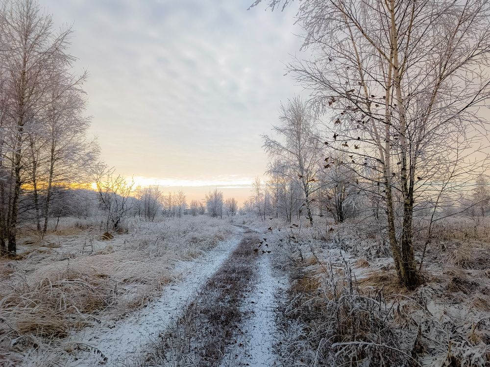 Photograph by Кондрашова Светлана