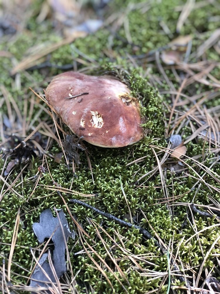 Photograph by Ирина Барышева