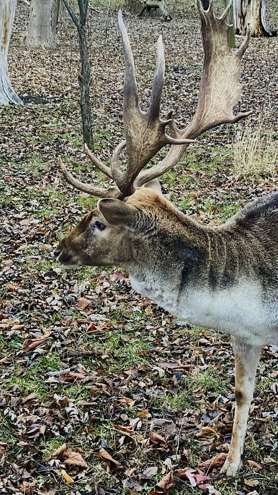 Photograph by Inna Belinskaya