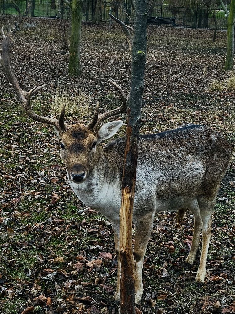 Photograph by Inna Belinskaya