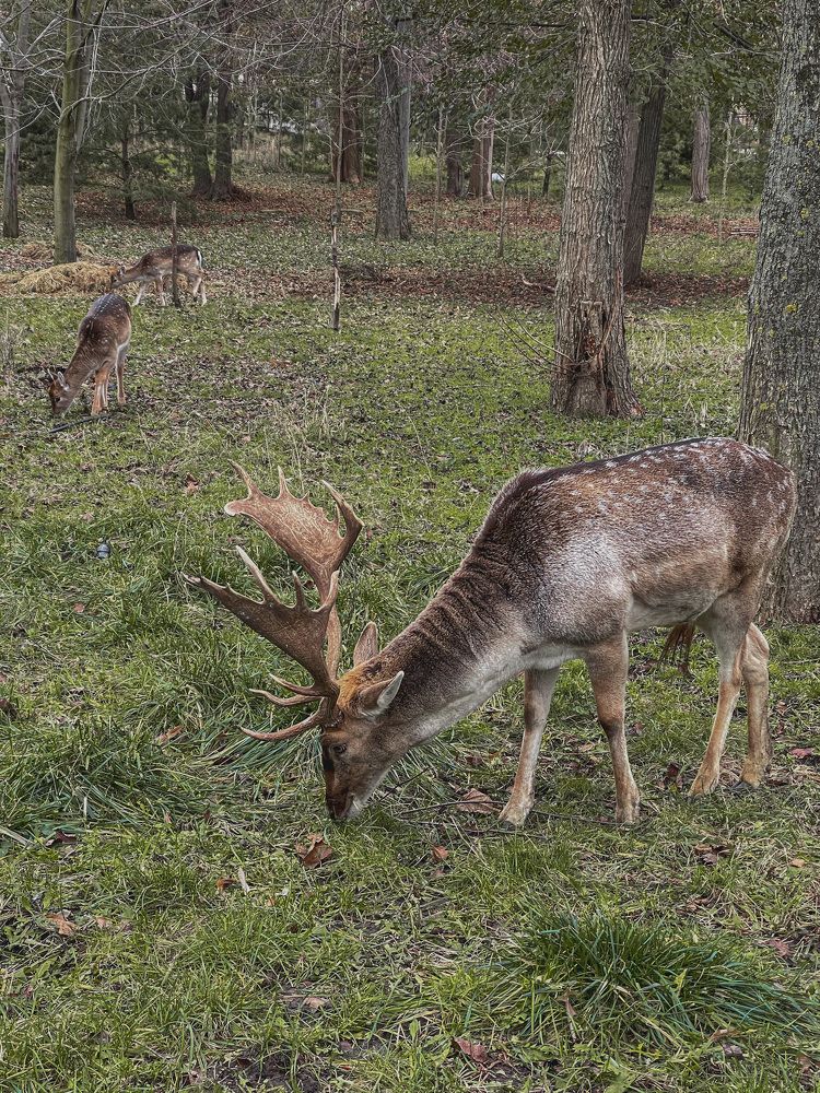 Photograph by Inna Belinskaya