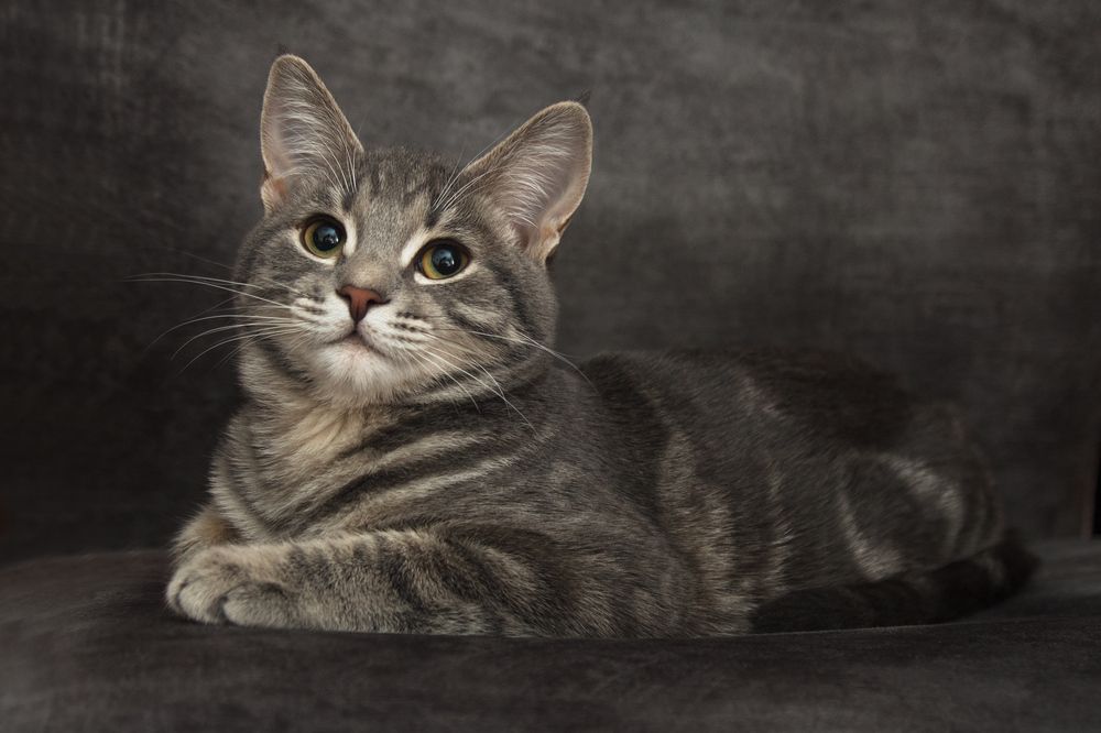 Photograph by Сергей Алексеев