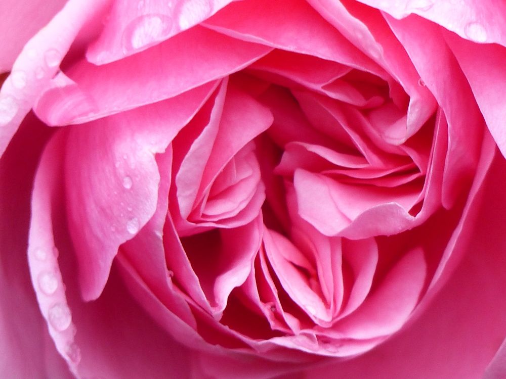 Photograph by Isabella Northrop