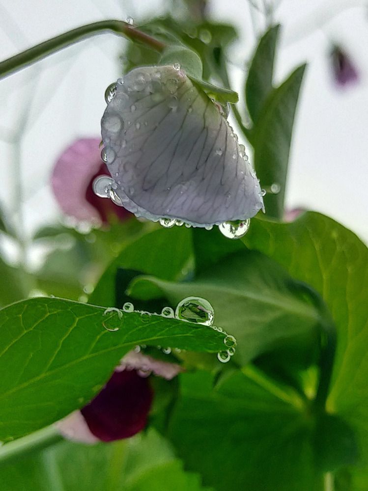 Photograph by Лилия Нурова