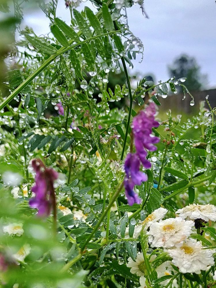 Photograph by Лилия Нурова