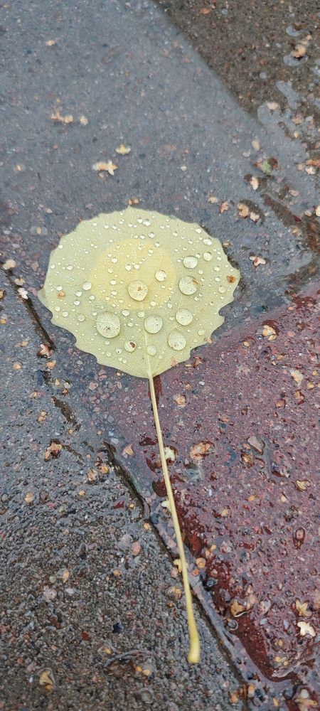 Фотография автора Валерий Жданов