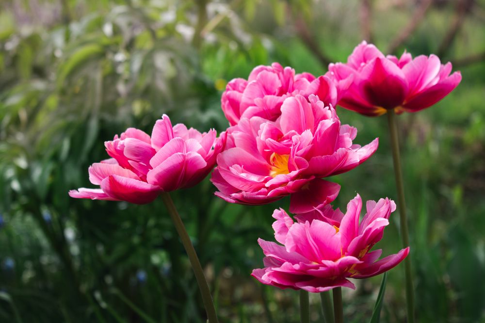 Photograph by Галина Ноздрина