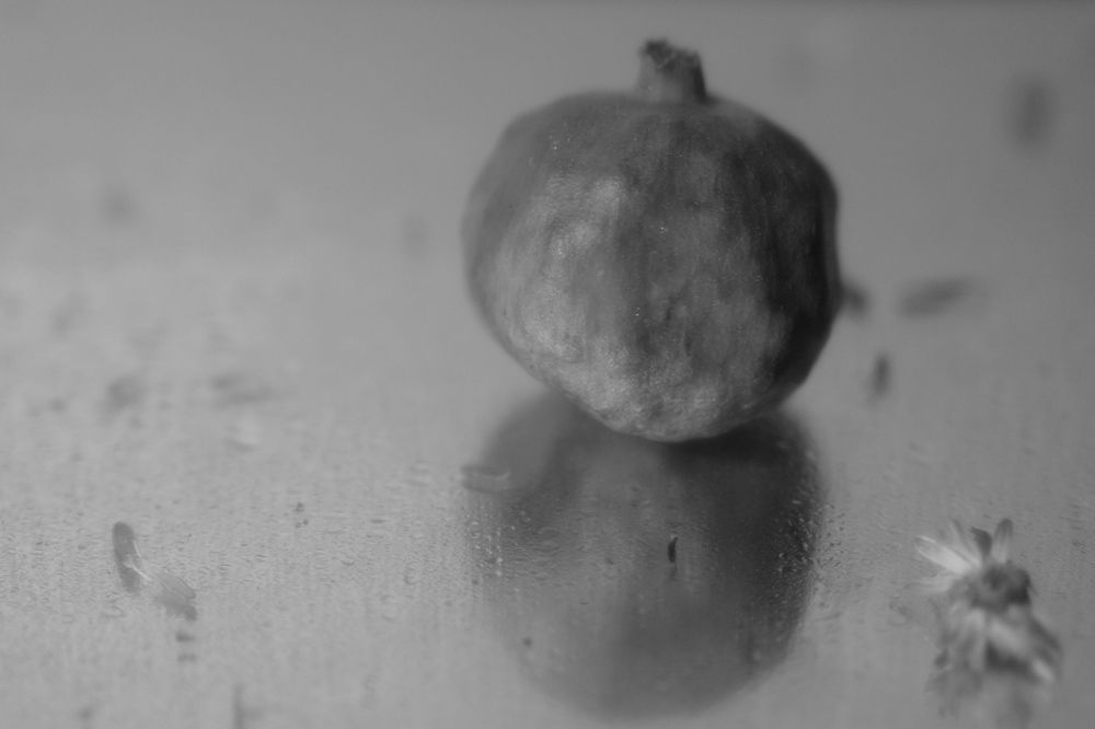 Photograph by Валентина Дворниченко