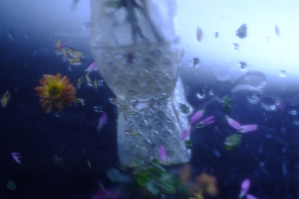 Photograph by Валентина Дворниченко