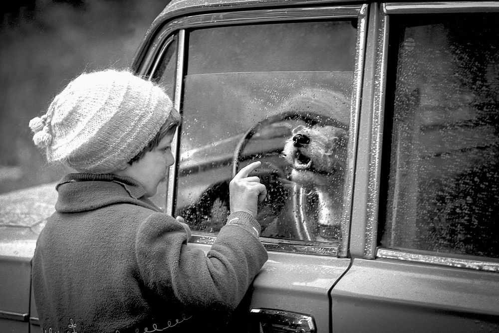 Photograph by Вячеслав Лычков