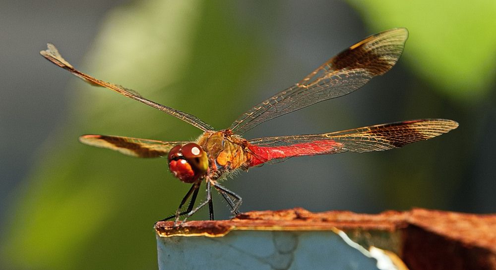 Photograph by Александр