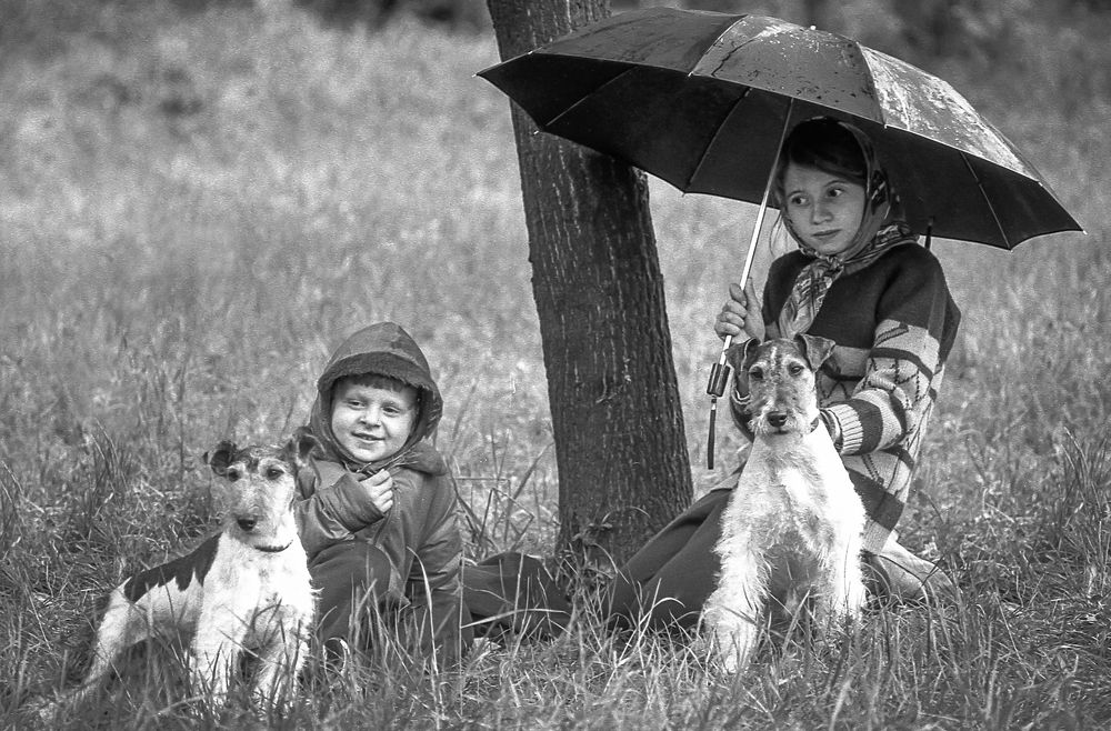 Photograph by Вячеслав Лычков