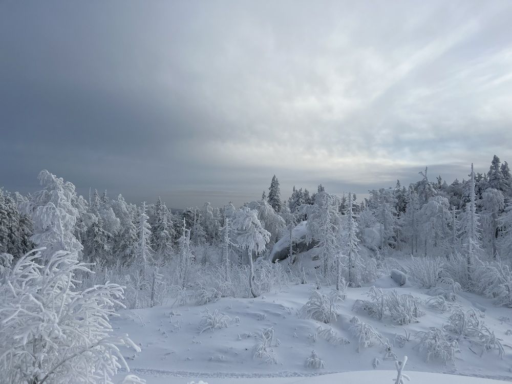 Photograph by Оксана Абакумова