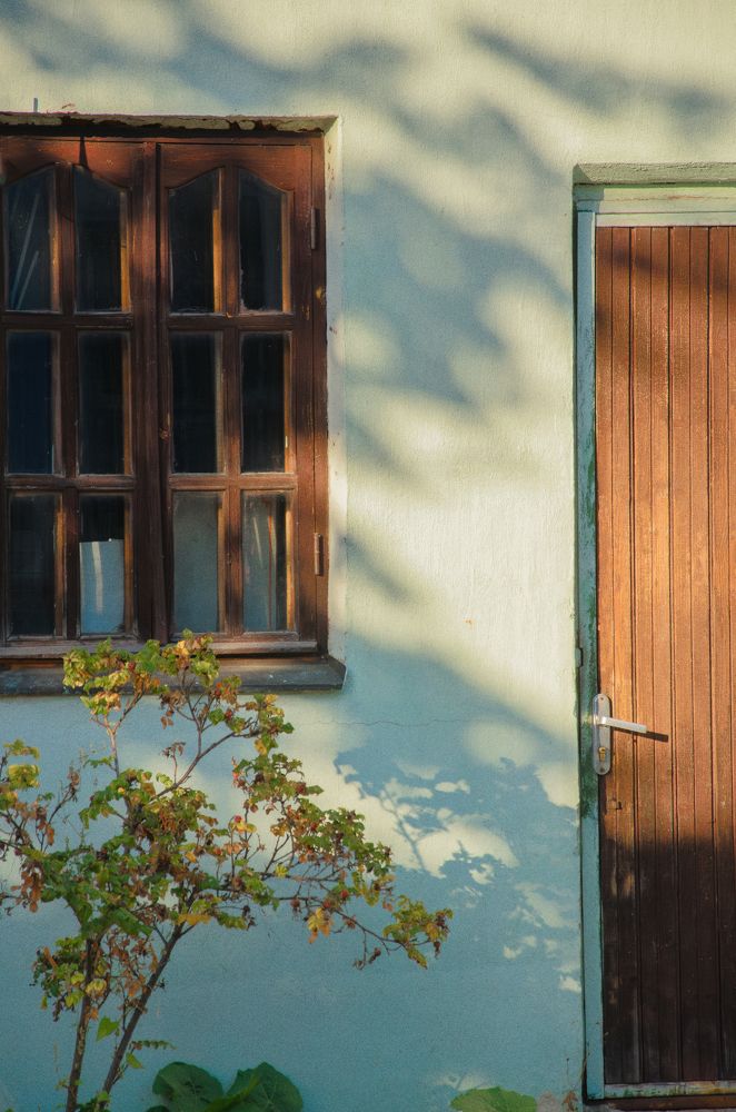 Photograph by Ольга Новикова