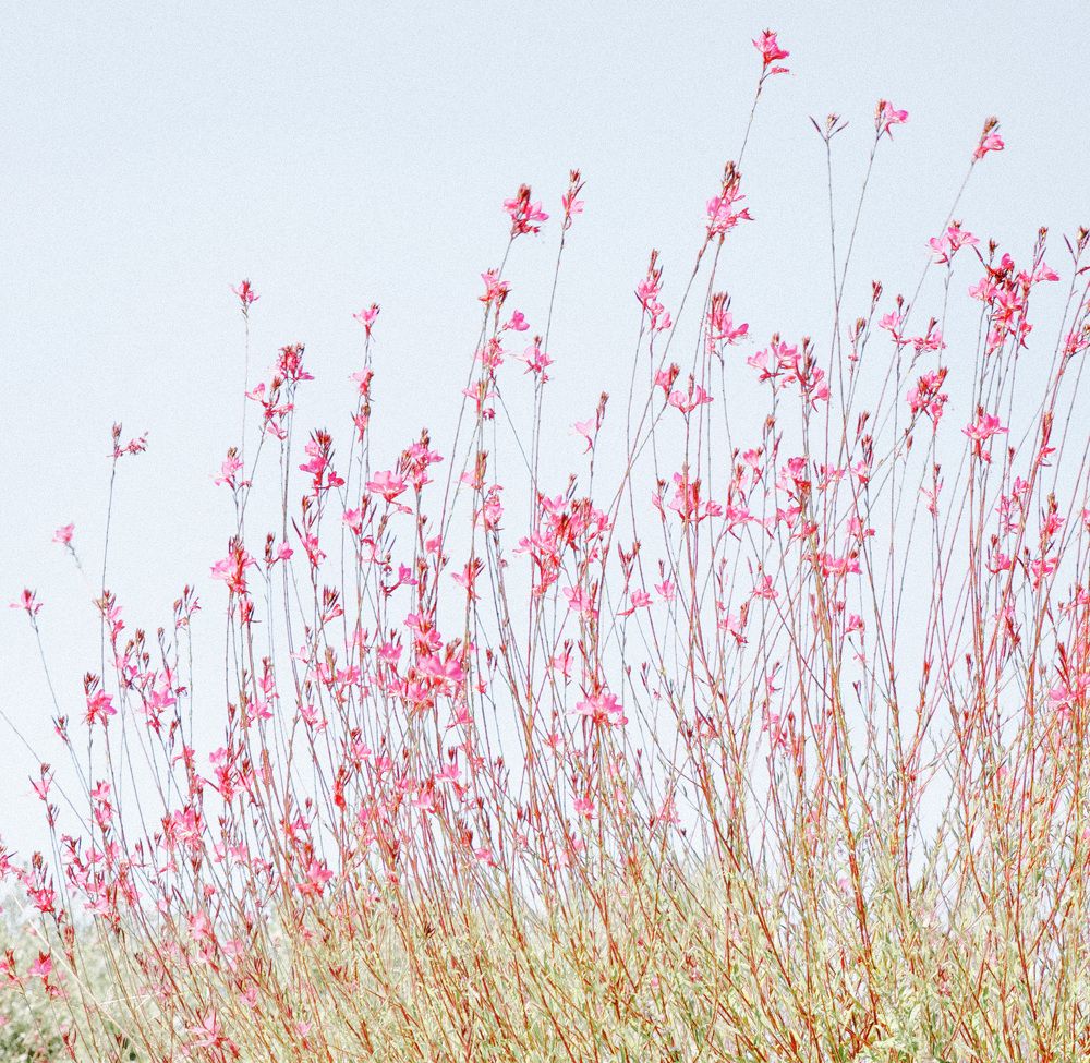 Photograph by Taтьяна Войлокова