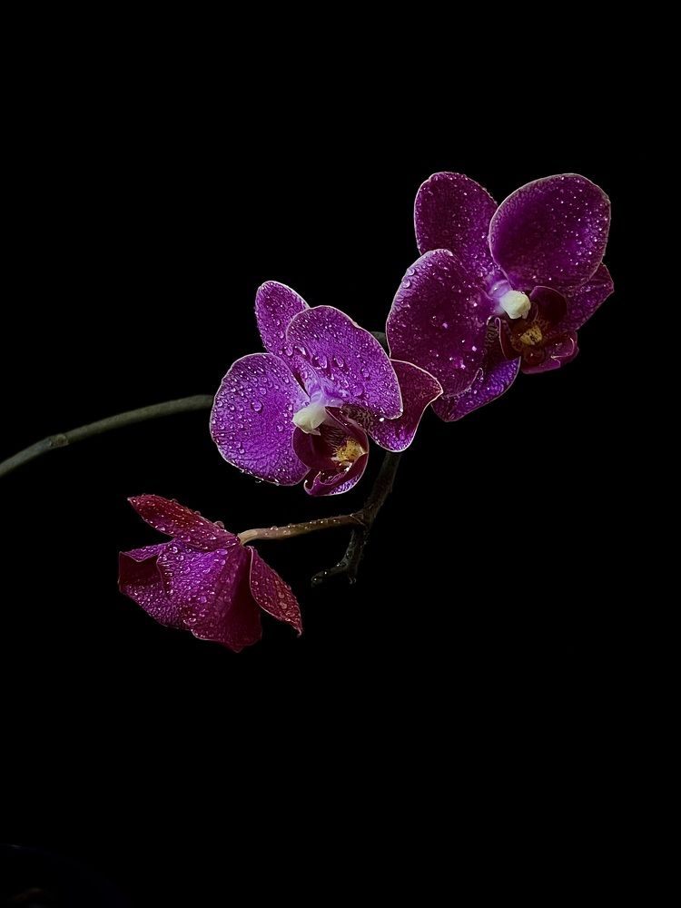 Photograph by Елена Громова