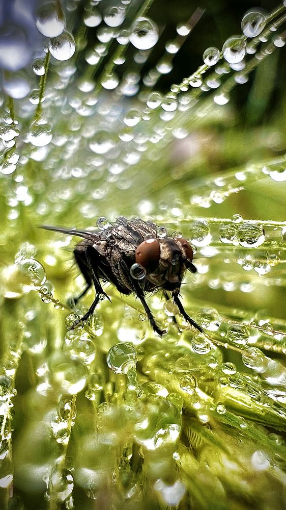 Photograph by Дмитров Андрей