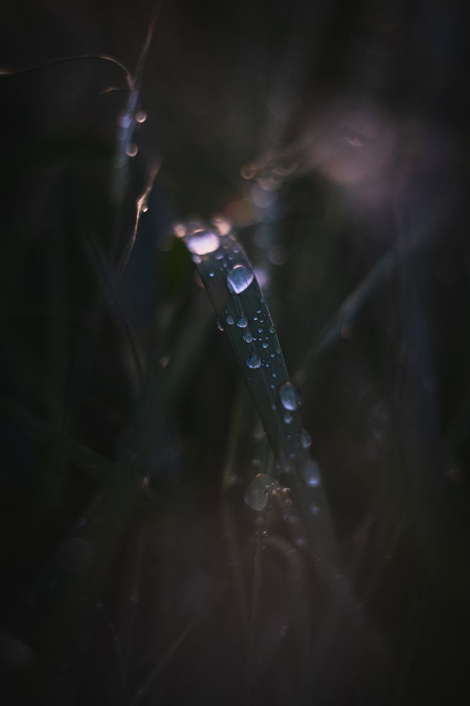 Photograph by Дмитров Андрей